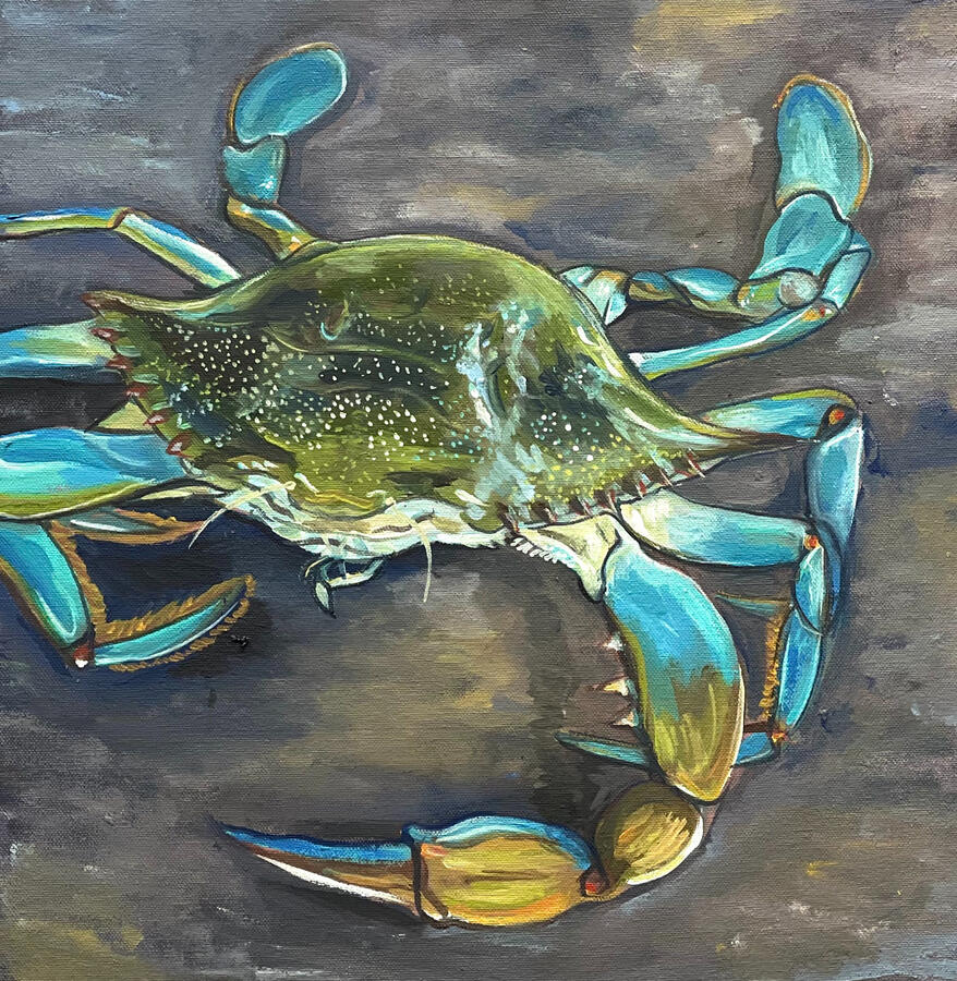 Blue Crab. 20x20x1 1/18" 36x36x2" oil on canvas. Unavailable. 2023