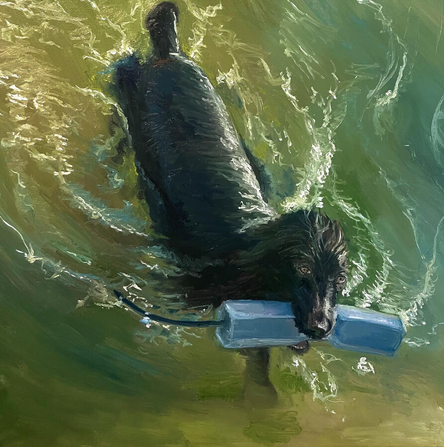 Bumper Training with Patsy. 20x20x1 1/8" oil on canvas. Available. 2024